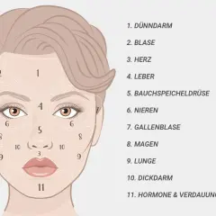 Gesichtszone 11, am Kinn, steht für Hormone & Verdauungssystem. Pickel hier könnten auf Probleme im Verdauungstrakt hinweisen.