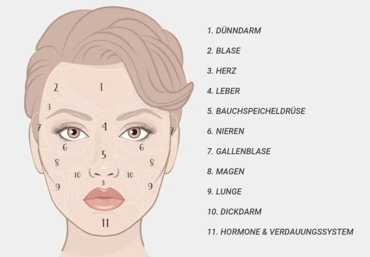 Gesichtszone 11, am Kinn, steht für Hormone & Verdauungssystem. Pickel hier könnten auf Probleme im Verdauungstrakt hinweisen.