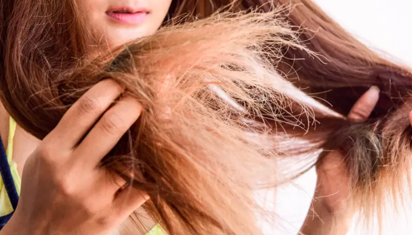 Frauenhand hält eine Strähne brauner Haare, die sich strohig und gespalten anfühlen. So sehen kaputte Haare aus.