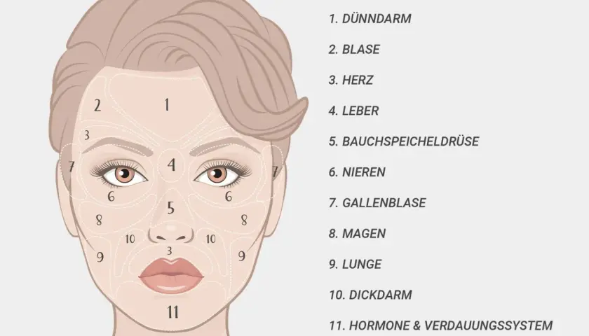 Gesichtszone 11, am Kinn, steht für Hormone & Verdauungssystem. Pickel hier könnten auf Probleme im Verdauungstrakt hinweisen.