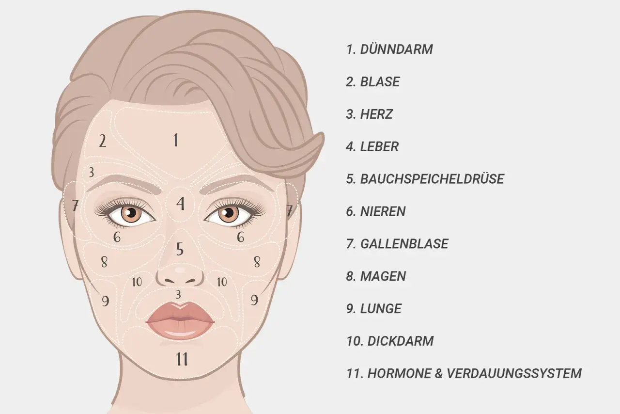 Gesichtszone 11, am Kinn, steht für Hormone & Verdauungssystem. Pickel hier könnten auf Probleme im Verdauungstrakt hinweisen.