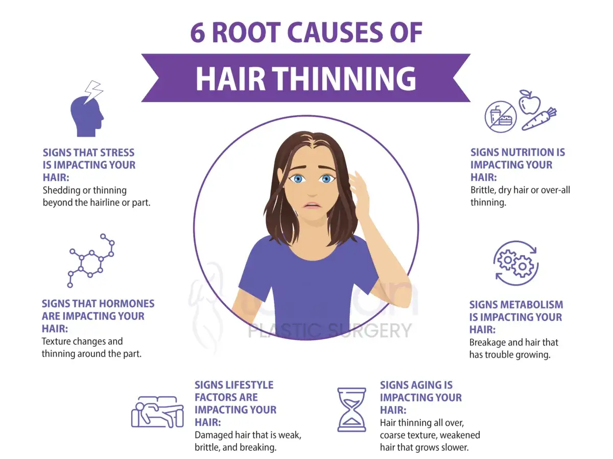 Hormone imbalances can cause trockene haare und Haarausfall. Die Grafik zeigt 6 Ursachen für dünner werdendes Haar, darunter auch Hormone.