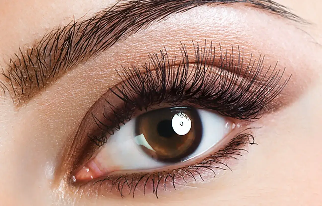 Perfekt gestylte Augenbrauen und lange Wimpern rahmen ein braunes Auge ein.